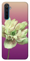 Чехол для Realme 6 Pro PandaPrint Розовый пурпур цветы