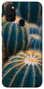 Чохол для Samsung Galaxy M30s / M21 PandaPrint Кактуси квіти