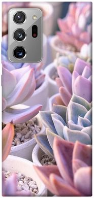 Чехол для Samsung Galaxy Note 20 Ultra PandaPrint Эхеверия 2 цветы