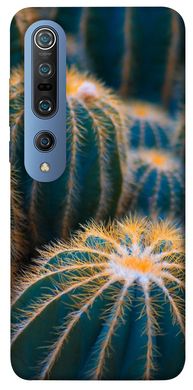Чехол для Xiaomi Mi 10 / Mi 10 Pro PandaPrint Кактусы цветы