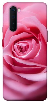 Чохол для OnePlus Nord PandaPrint Рожевий бутон квіти