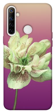 Чохол для Realme 6i PandaPrint Рожевий пурпур квіти