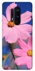 Чехол для OnePlus 8 Pro PandaPrint Розовая ромашка цветы