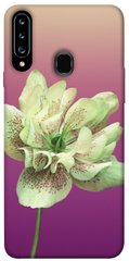 Чохол для Samsung Galaxy A20s PandaPrint Рожевий пурпур квіти