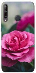 Чехол для Huawei P40 Lite E / Y7p (2020) PandaPrint Роза в саду цветы