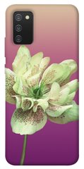 Чохол для Samsung Galaxy A02s PandaPrint Рожевий пурпур квіти