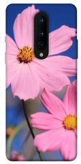 Чехол для OnePlus 8 PandaPrint Розовая ромашка цветы