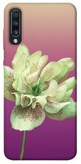 Чохол для Samsung Galaxy A70 (A705F) PandaPrint Рожевий пурпур квіти