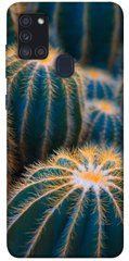 Чехол для Samsung Galaxy A21s PandaPrint Кактусы цветы