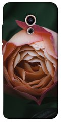 Чехол для Meizu Pro 6 PandaPrint Роза остин цветы