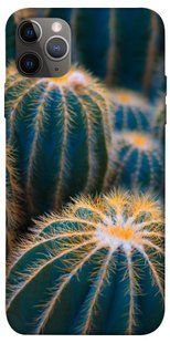 Чехол для Apple iPhone 12 Pro (6.1"") PandaPrint Кактусы цветы