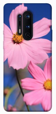 Чехол для OnePlus 8 Pro PandaPrint Розовая ромашка цветы