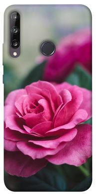 Чехол для Huawei P40 Lite E / Y7p (2020) PandaPrint Роза в саду цветы