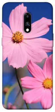 Чехол для OnePlus 7 Pro PandaPrint Розовая ромашка цветы