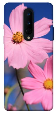 Чехол для OnePlus 8 PandaPrint Розовая ромашка цветы
