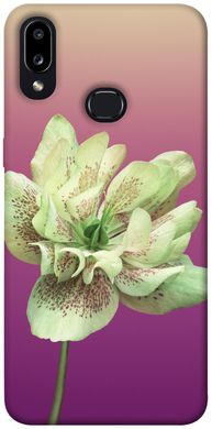 Чехол для Samsung Galaxy A10s PandaPrint Розовый пурпур цветы