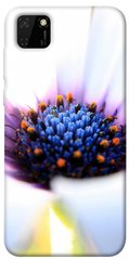 Чехол для Huawei Y5p PandaPrint Полевой цветок цветы