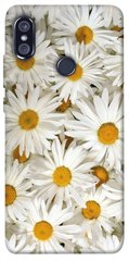 Чехол для Xiaomi Redmi Note 5 Pro PandaPrint Ромашки цветы