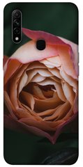 Чехол для Oppo A31 PandaPrint Роза остин цветы