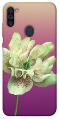 Чехол для Samsung Galaxy M11 PandaPrint Розовый пурпур цветы