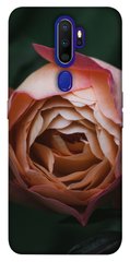 Чехол для Oppo A5 (2020) / Oppo A9 (2020) PandaPrint Роза остин цветы