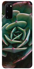 Чохол для Samsung Galaxy S20 PandaPrint Ехеверія квіти