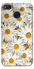 Чехол для Xiaomi Redmi 4X PandaPrint Ромашки цветы