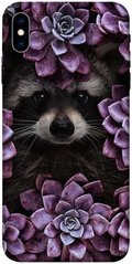 Чехол для Apple iPhone XS (5.8"") PandaPrint Енот в цветах цветы