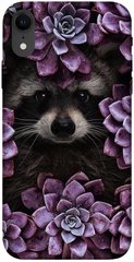 Чохол для Apple iPhone XR (6.1 "") PandaPrint Єнот в кольорах квіти
