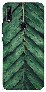 Чохол для Huawei P Smart Z PandaPrint Пальмовий лист квіти