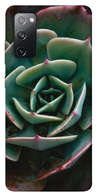 Чехол для Samsung Galaxy S20 FE PandaPrint Эхеверия цветы