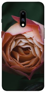Чехол для OnePlus 7 Pro PandaPrint Роза остин цветы
