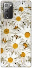 Чехол для Samsung Galaxy Note 20 PandaPrint Ромашки цветы