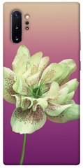 Чохол для Samsung Galaxy Note 10 Plus PandaPrint Рожевий пурпур квіти