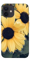 Чохол для Apple iPhone 12 mini (5.4 "") PandaPrint Два соняшнику квіти