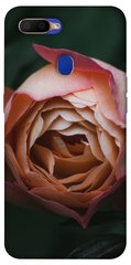Чехол для Oppo A5s / Oppo A12 PandaPrint Роза остин цветы