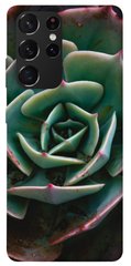 Чехол для Samsung Galaxy S21 Ultra PandaPrint Эхеверия цветы
