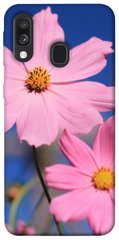 Чохол для Samsung Galaxy A40 (A405F) PandaPrint Рожева ромашка квіти