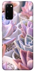 Чехол для Samsung Galaxy S20 PandaPrint Эхеверия 2 цветы