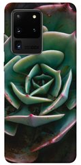 Чехол для Samsung Galaxy S20 Ultra PandaPrint Эхеверия цветы