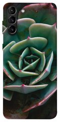 Чехол для Samsung Galaxy S21+ PandaPrint Эхеверия цветы