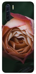 Чехол для Oppo A91 PandaPrint Роза остин цветы