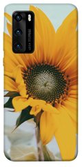 Чохол для Huawei P40 PandaPrint Соняшник квіти