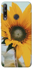 Чохол для Huawei P40 Lite E / Y7p (2020) PandaPrint Соняшник квіти