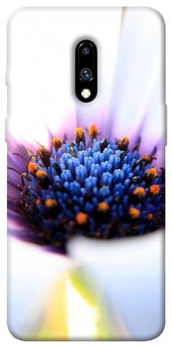 Чехол для OnePlus 7 Pro PandaPrint Полевой цветок цветы