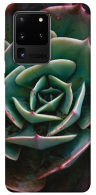 Чехол для Samsung Galaxy S20 Ultra PandaPrint Эхеверия цветы