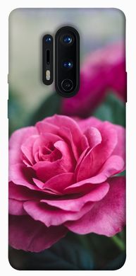 Чехол для OnePlus 8 Pro PandaPrint Роза в саду цветы