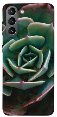 Чехол для Samsung Galaxy S21 PandaPrint Эхеверия цветы