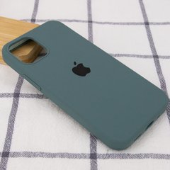 Чохол для Apple iPhone 12 Pro Silicone Full / закритий низ (Зелений / Cactus)