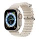 Ремінець для Apple Watch 38/40/41 mm Ocean Band Stone
